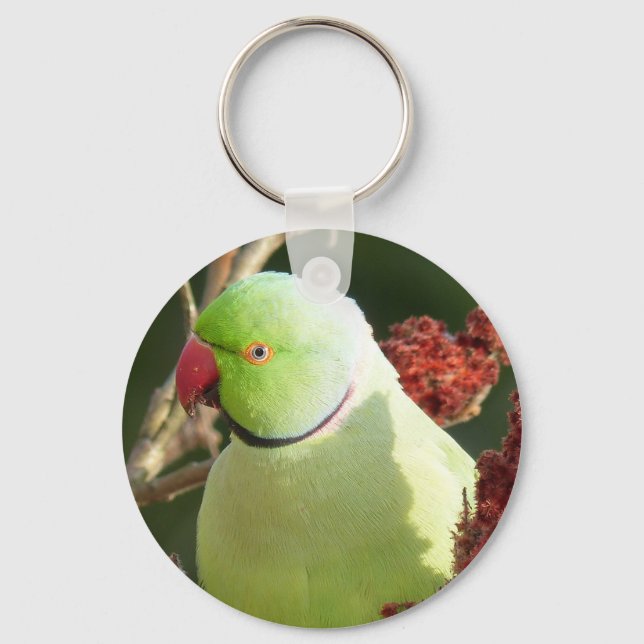 Parakeet, ro nyckelring (Framsida)