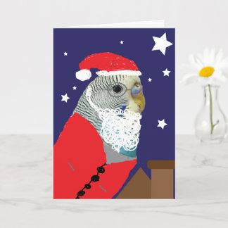 Parakeet Santa Clause Christmas Card Kort