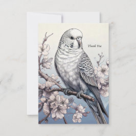 Parakeet Tack Kort