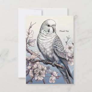 Parakeet Tack Kort