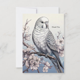 Parakeet Tack Kort