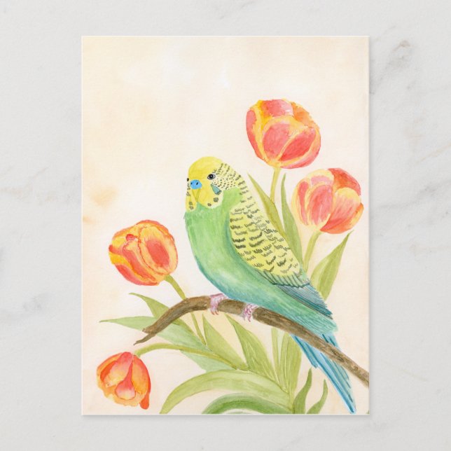 Parakeet with Tulips  Vykort (Framsida)
