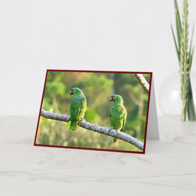 Parakeets Foletingkort Tack Kort (Framsida)