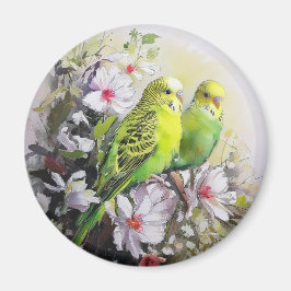 Parakeets Magnet