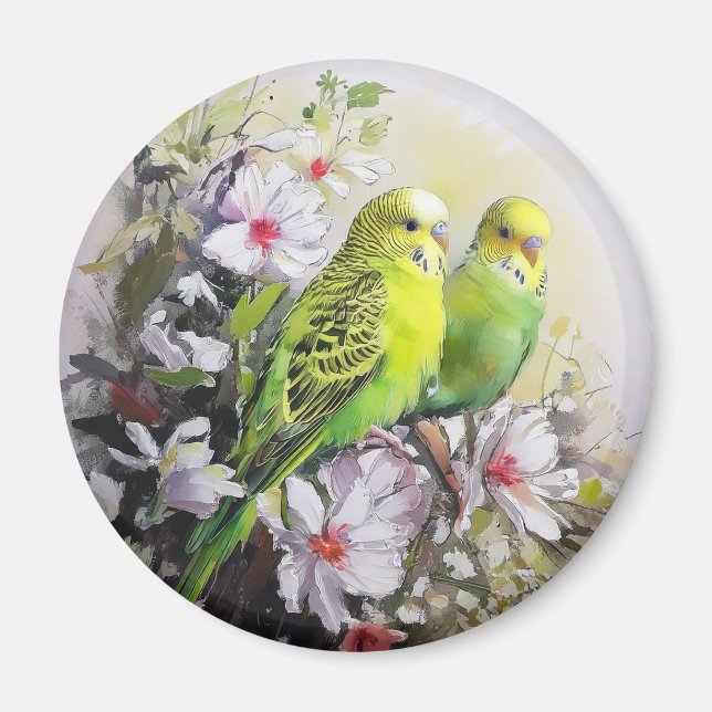 Parakeets Magnet (Framsidan)