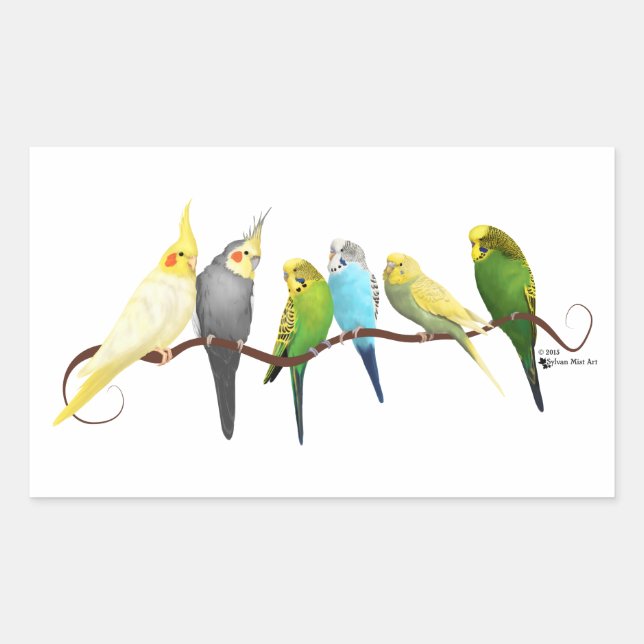Parakeets och Cockatiels! Rektangulärt Klistermärke (Framsida)