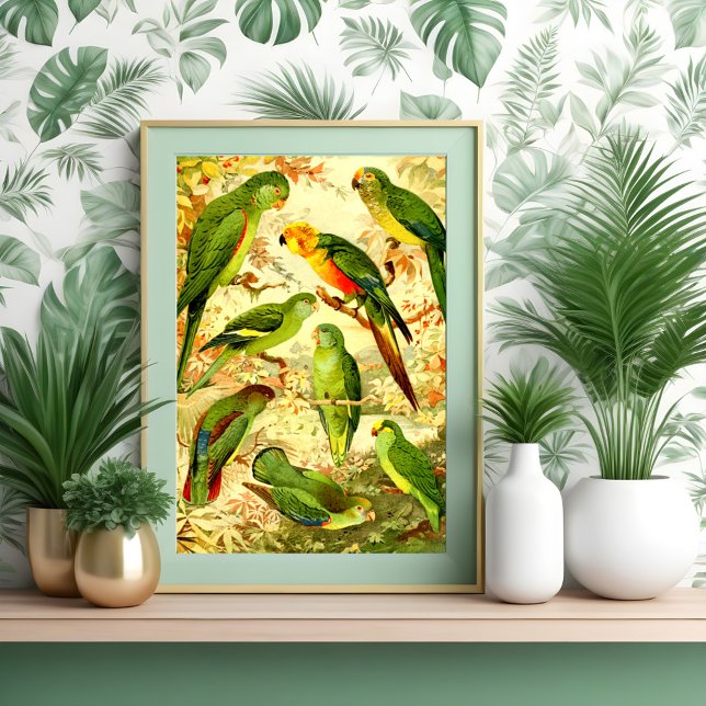 Parakeets Poster (Skapare uppladdad)