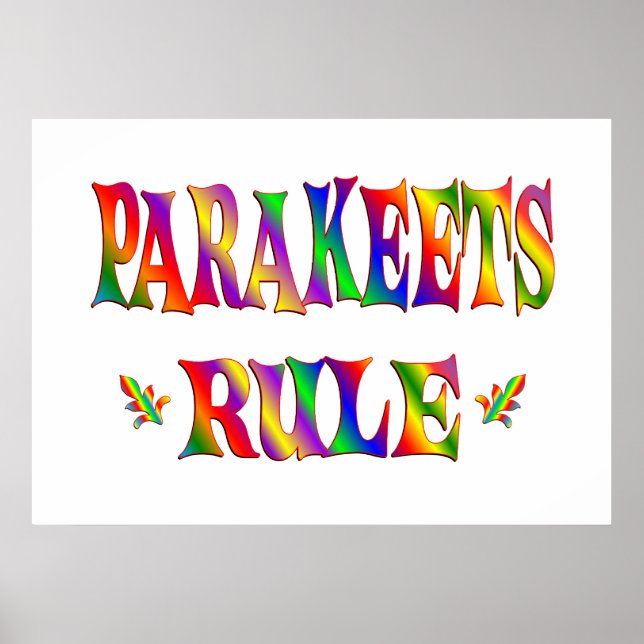 PARAKEETS REGEL POSTER (Framsidan)