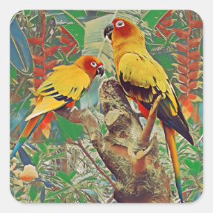 Parakeets sol fyrkantigt klistermärke