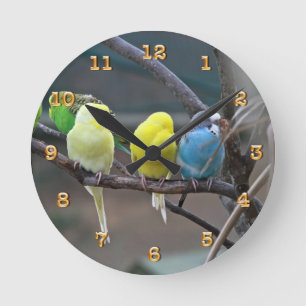 Parakiter Budgies mekaniskt säga efter naturen f Rund Klocka