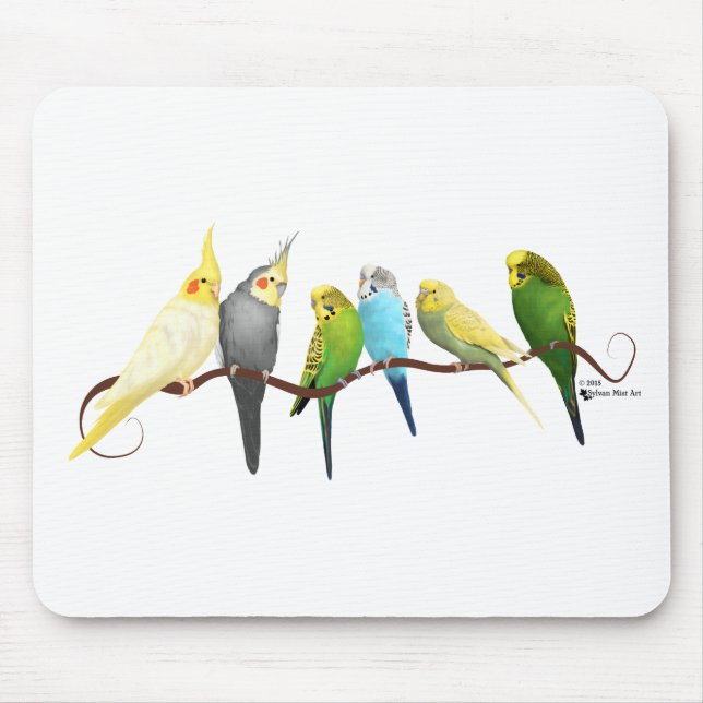 Parakiter & Cockatiels! Musmatta (Framsidan)