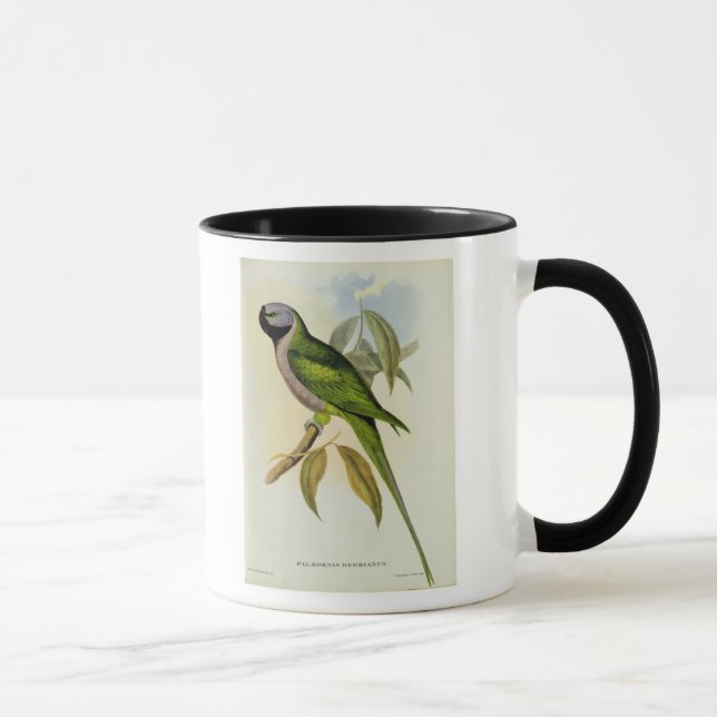 Parakiter: Palaeornis Derbianus, c.1850 Mugg (Höger)