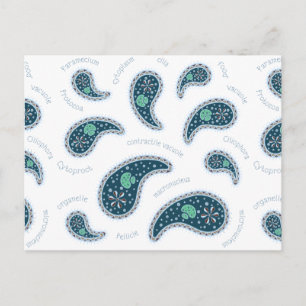Paramecia Paisley Anpassningsbar Biologi Anpassnin Vykort