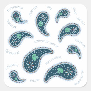 Paramecia Paisley Biologi Vetenskap MIcrobe Mörk Fyrkantigt Klistermärke