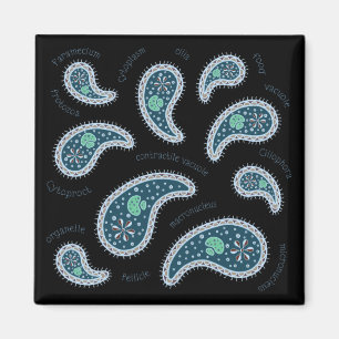 Paramecia Paisley Biology Science Microbe Mörk Magnet
