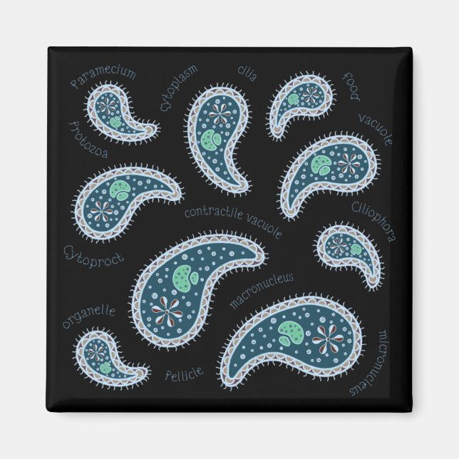 Paramecia Paisley Biology Science Microbe Mörk Magnet (Framsidan)