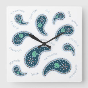 Paramecia Paisley Protozoan Biology Science Light Fyrkantig Klocka
