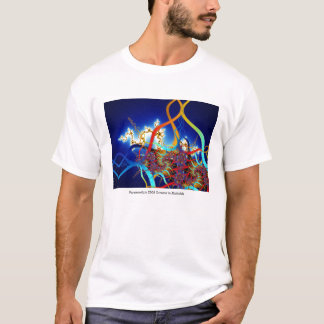 Paramoosium T-tröja Tee