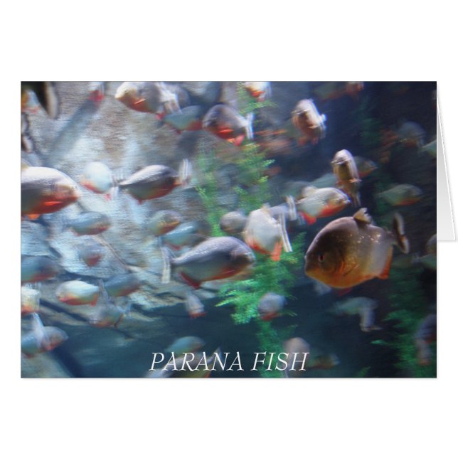 Parana Hälsningskort (Framsidan Horizontal)