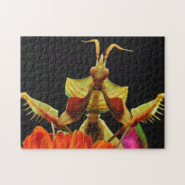 Parande Mantis Flowers Photo Puzzle Pussel (Horisontell)
