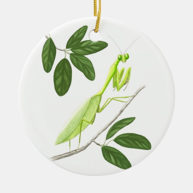 Parande Mantis Ornament (Framsidan)