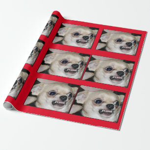Paranoid Chihuahua spolar upp din höga ångest Presentpapper