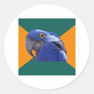 Paranoid Parrot Bird Advice Animal Memid Runt Klistermärke