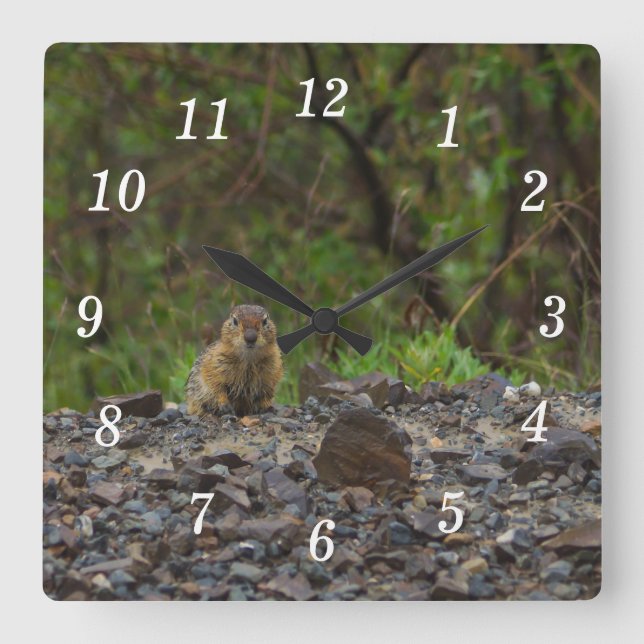 Paraply, väggklocka (Framsida)