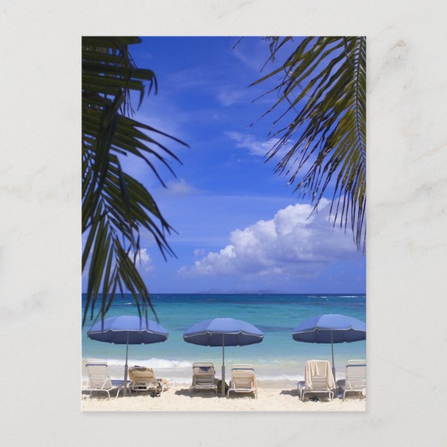 paraplyer på strand, St. Maarten, Karibien Vykort (Framsida)
