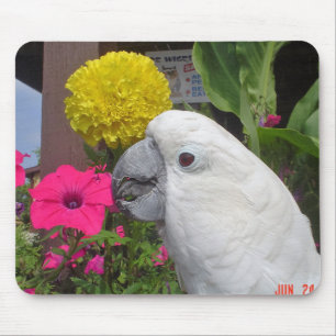 Paraplykakadua Mousepad Musmatta