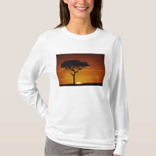 Paraplytaggacacia, Acacia tortilis, T-shirt