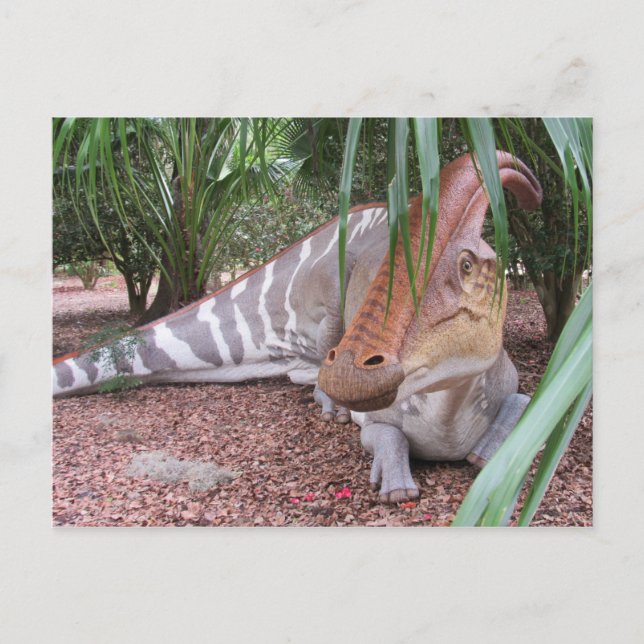 Parasaurolophus - Dinosaur - Inlärningskort Vykort (Framsida)