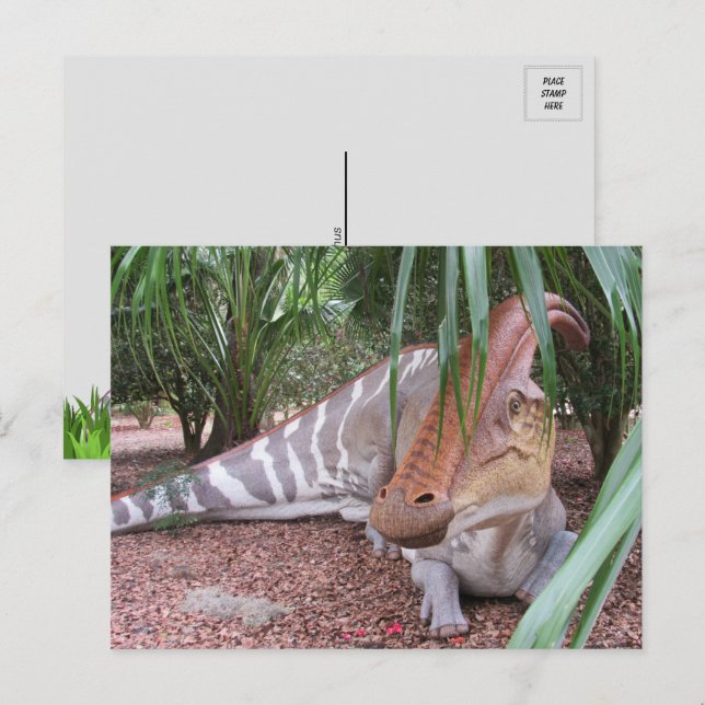 Parasaurolophus - Dinosaur - vykort (Fram/baksida)