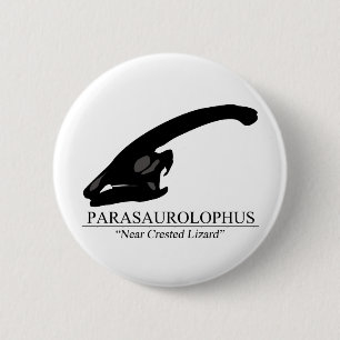 Parasaurolophus Skull Knapp
