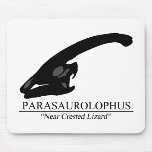 Parasaurolophus Skull Musmatta