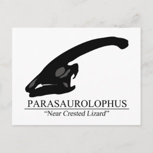 Parasaurolophus Skull Vykort