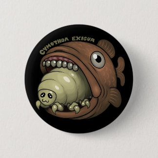 PARASIT: Cymothoa exigua Knapp