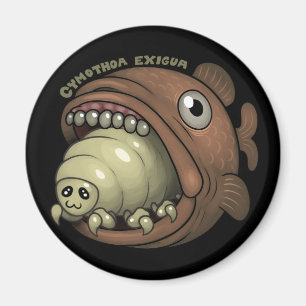 PARASIT: Cymothoa exigua Magnet