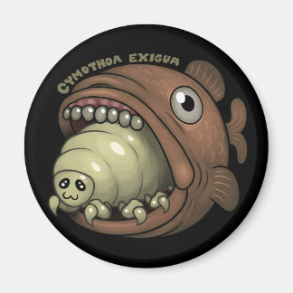 PARASITER: Cymothoa exigua Magnet