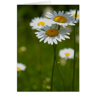 parasoler hälsningskort