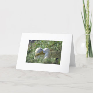 Parat ihop för liv kort