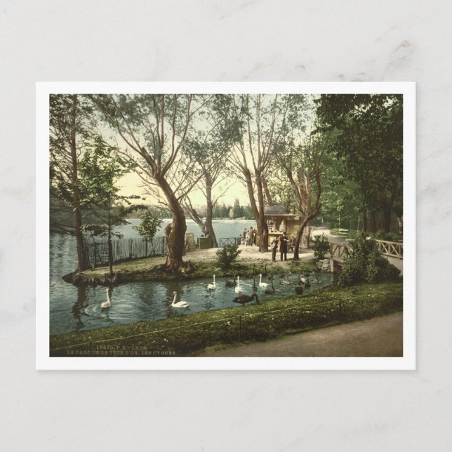 Parc de la Tête d'Or, Lyon, Frankrike Vykort (Framsida)