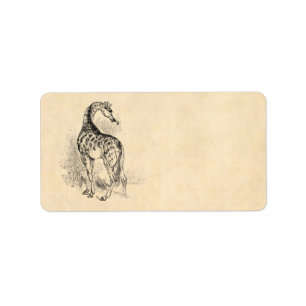 Parchment för illustration för giraff för adressetikett