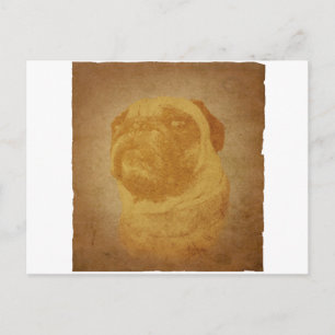 Parchment Pug Vykort