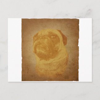 Parchment Pug Vykort