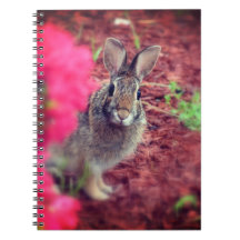 Pardon Me Bunny Spiral Journal