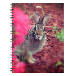 Pardon Me Bunny Spiral Journal Anteckningsbok