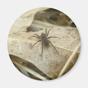 Pardosa på Oak Löv Magnet