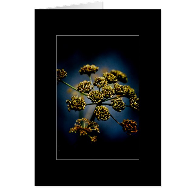 Parfymerade blommor hälsningskort (Framsidan)