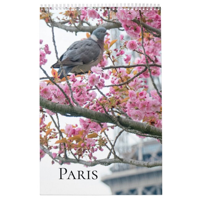 Paris Calendar Kalender (Omslag)